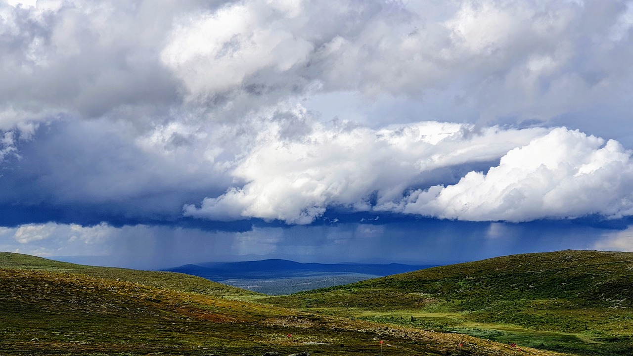근로자채무통합