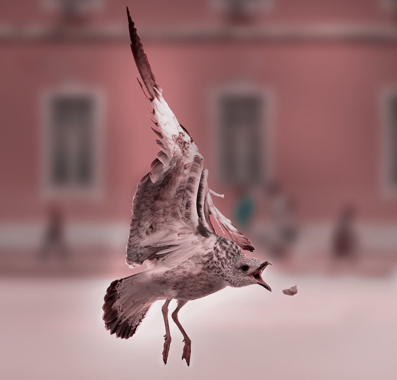 승인잘나는대부