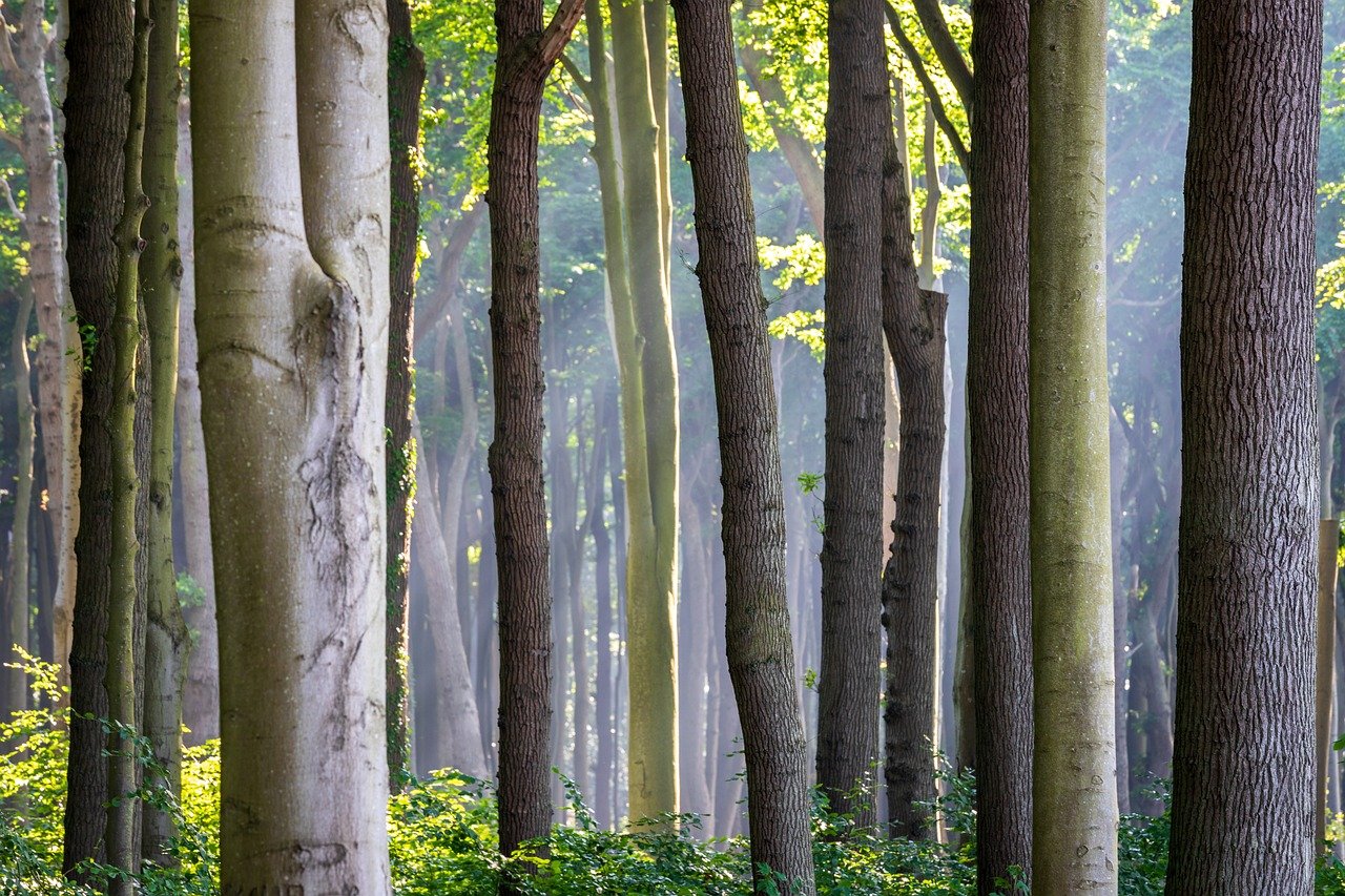 4대보험미가입신용대출