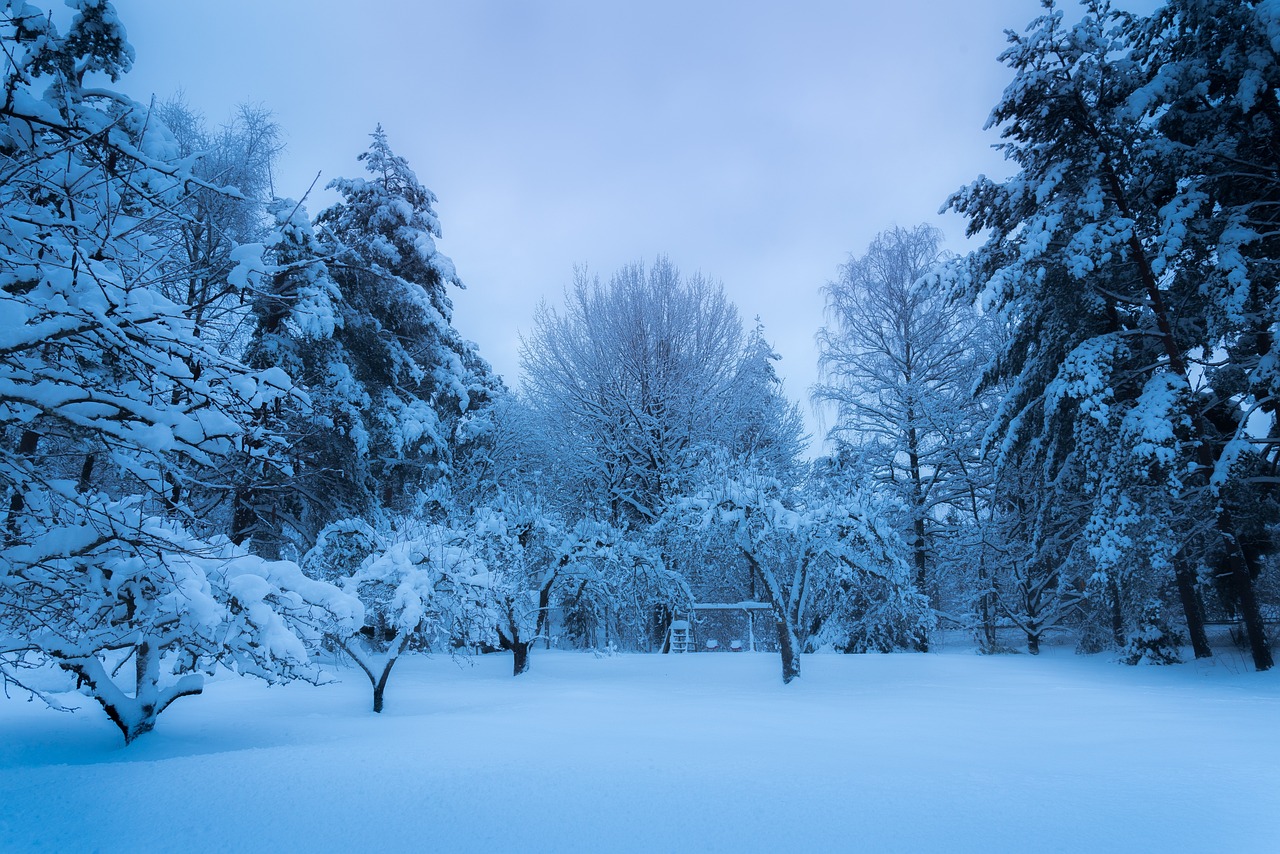마이너스통장조건