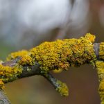 햇살론직장인 대출 이용 방법 알아보자